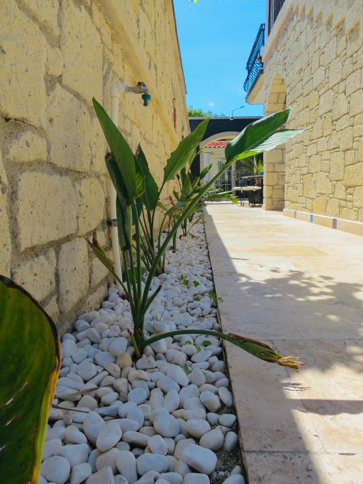 Fedora Otel Alaçatı Eksteriør bilde
